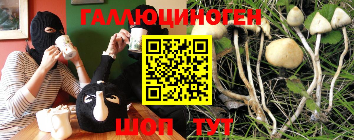 Галлюциногенные грибы мухоморы  Вход с VPN  Рассказово 